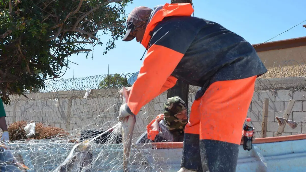 26ffdeeb-b2d8-4b9a-b64e-f30475fdc527