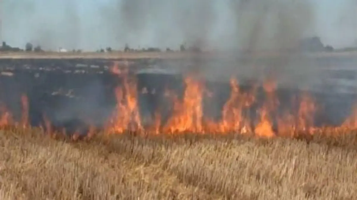 28908120_1752539904836456_1433604537_n