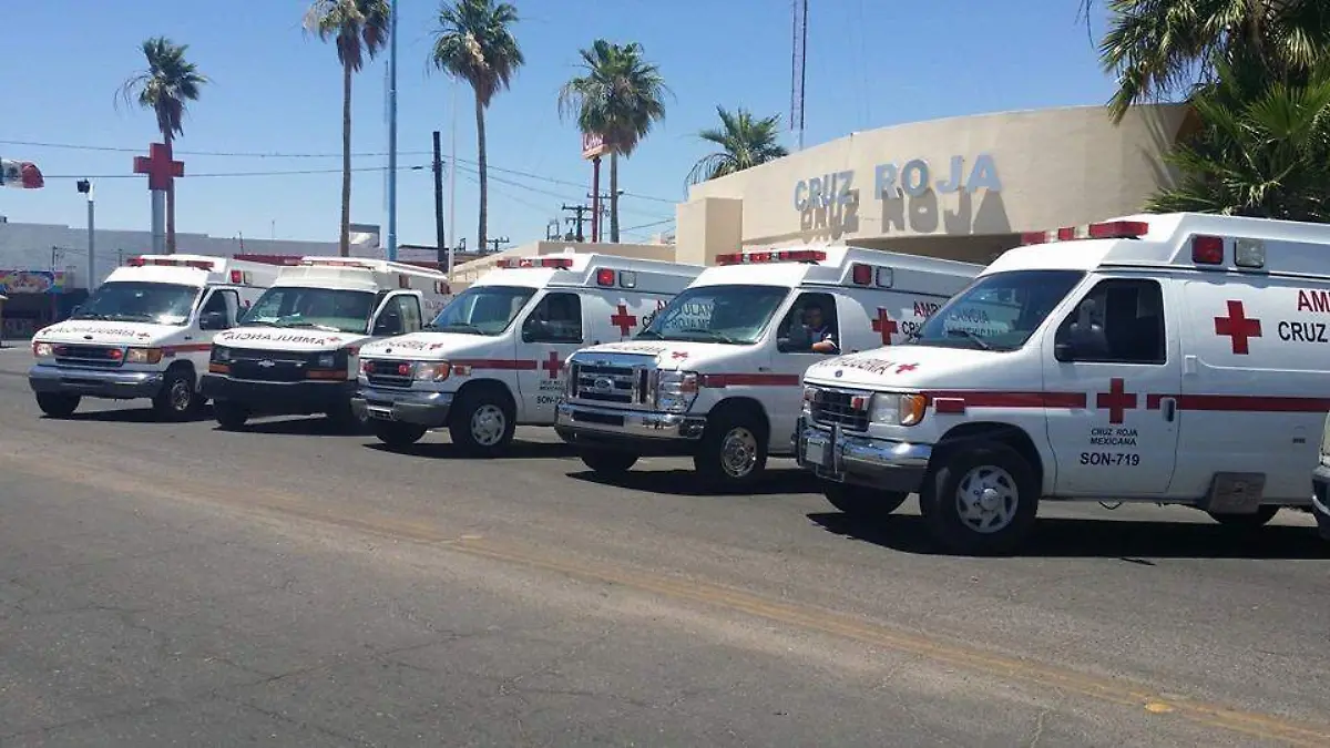 WhatsApp Image 2022-09-04 at 12.13.13 PM