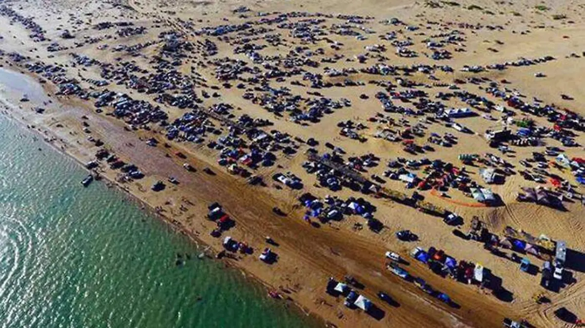 002bbbbe-1335-4b14-8a77-f9296b016c63