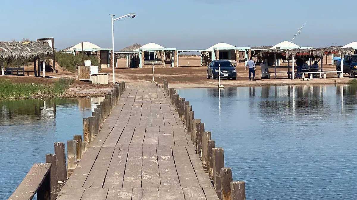 WhatsApp Image 2023-04-05 at 2.05.45 PM