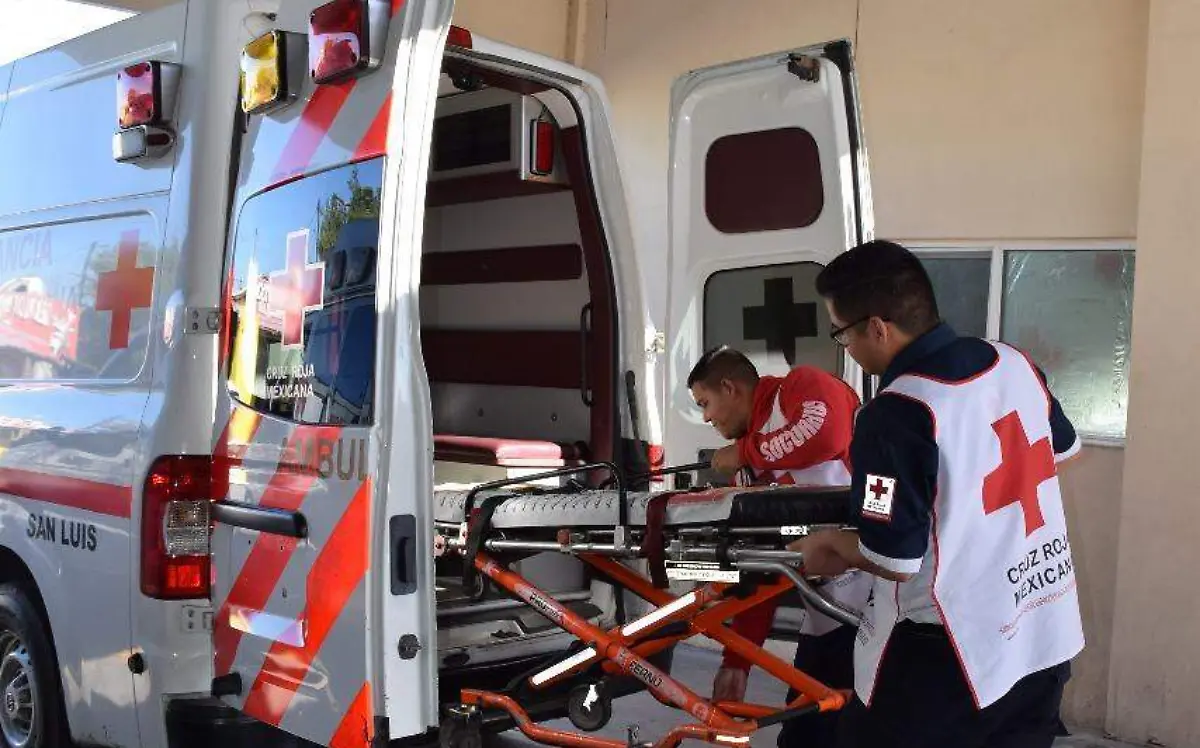 WhatsApp Image 2018-12-09 at 3.52.59 PM