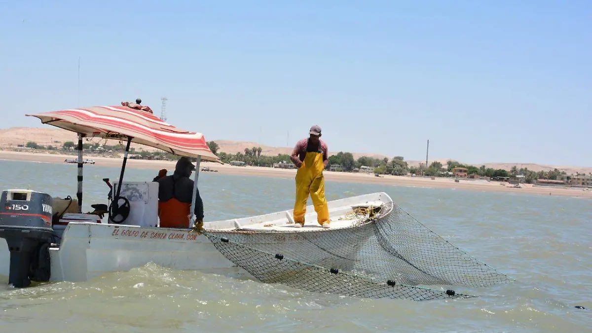 e958d2ac-f13c-4be4-891b-4a6a5610d291