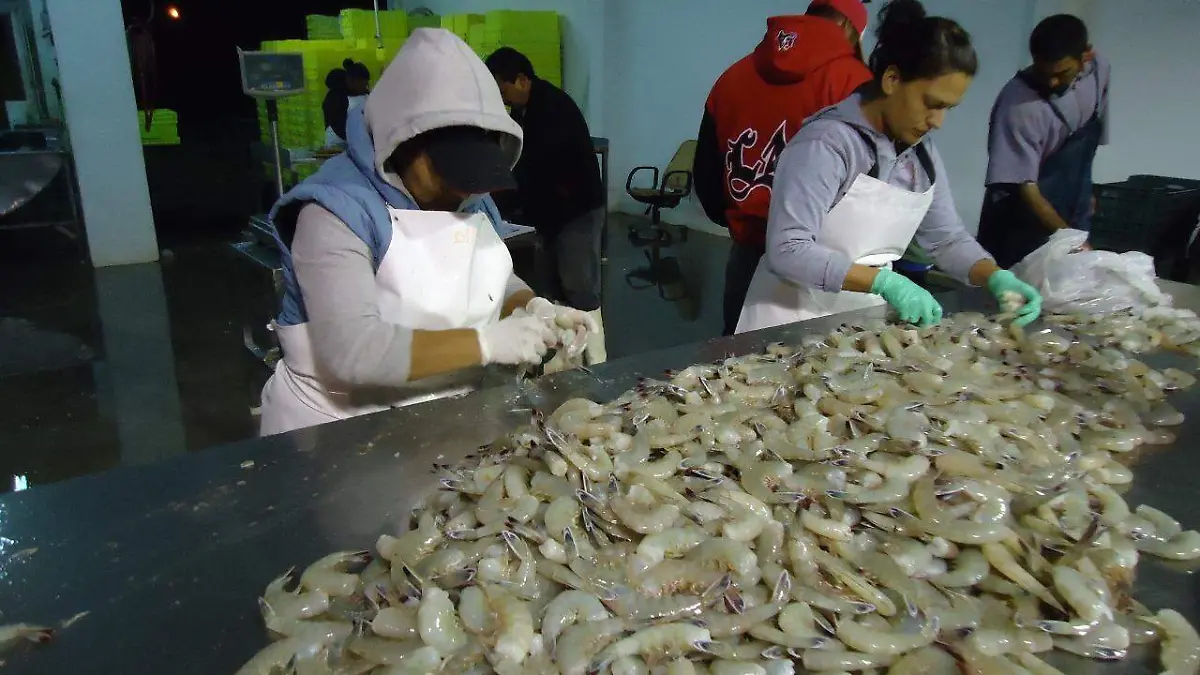 95ab5de6-9633-47b9-a1c7-fa3cf883e5bb