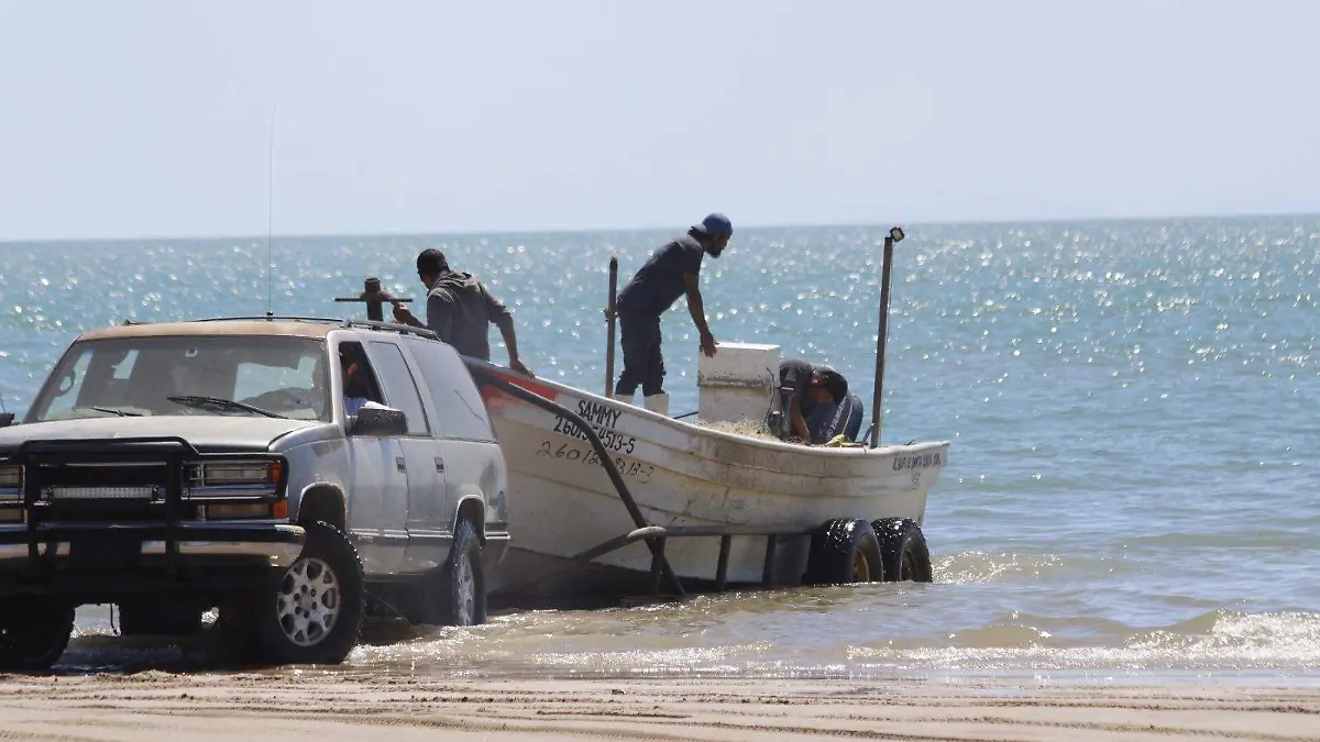 Golfeños-respetan-la-veda-del-camarón-2