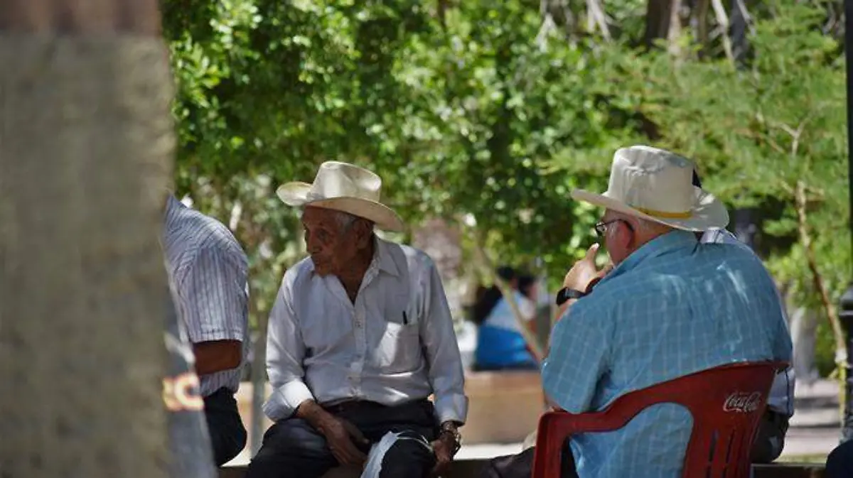 3514206f-2d86-4231-9218-caba5941ee66