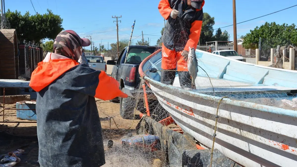 pescadores-pesca-golfo-de-santa-clara 