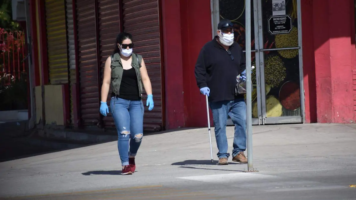 WhatsApp Image 2020-04-19 at 11.49.47 AM