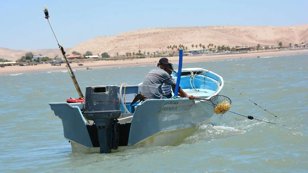 WhatsApp Image 2023-06-30 at 2.38.47 PM (1)