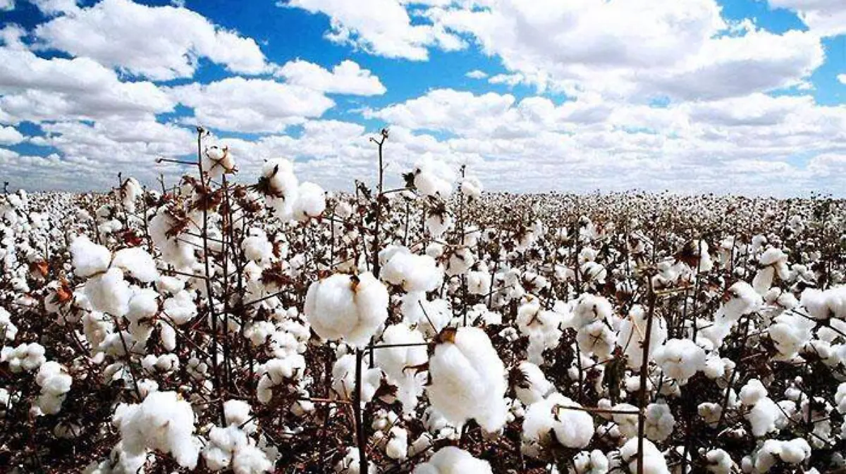 c80331bd-5a6a-4ff1-b226-03a5c19cebdc