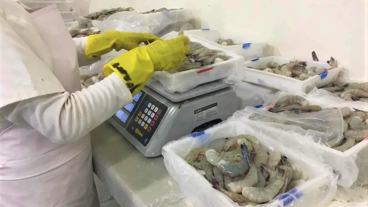 45179fe6-e24d-46d7-89f0-879e83af29e7