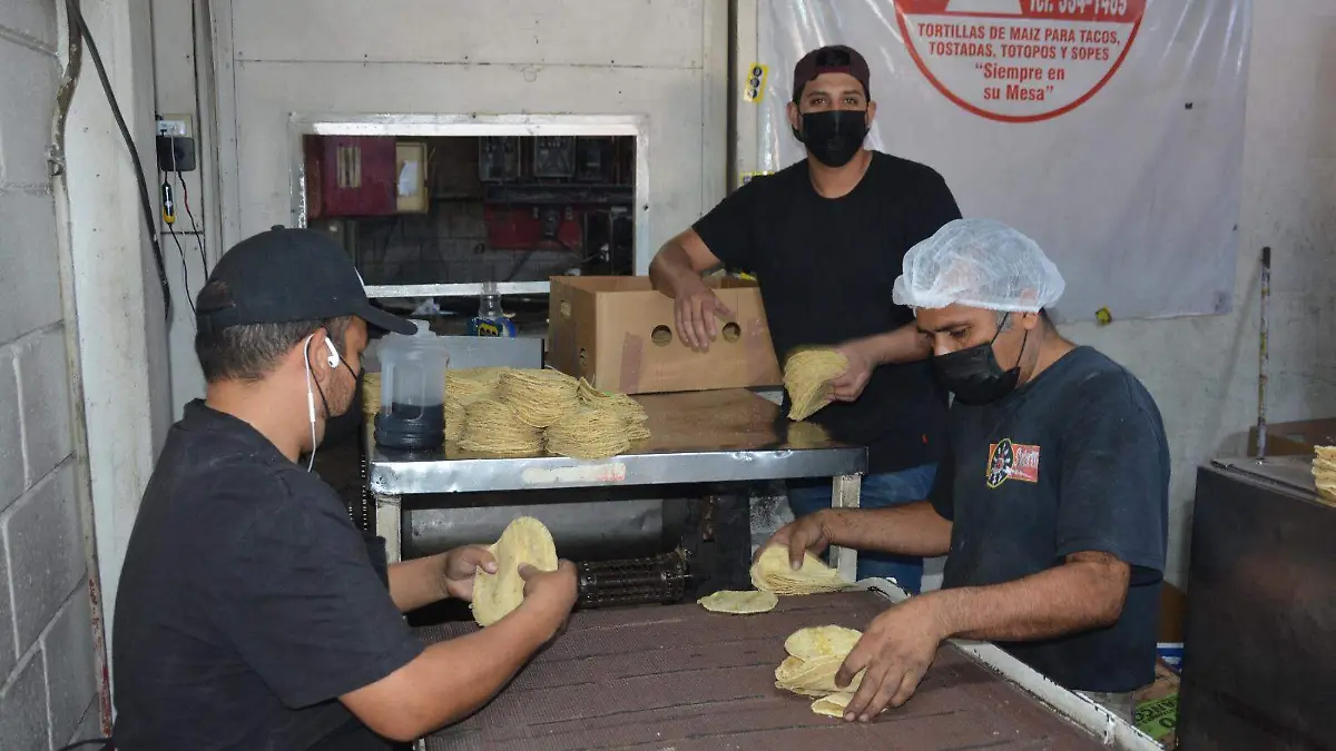 ¿Subirá el precio de la tortilla? Aquí te decimos