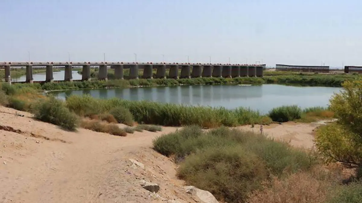 WhatsApp Image 2023-07-09 at 12.17.54 PM