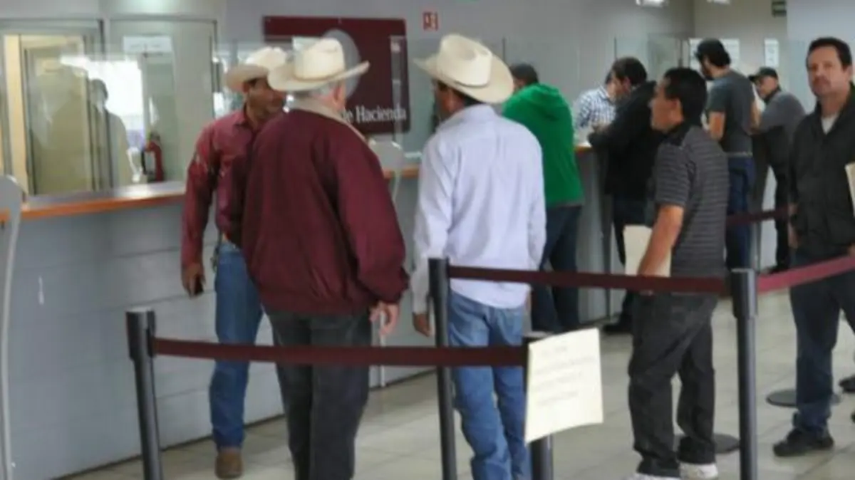 WhatsApp Image 2017-01-02 at 2.37