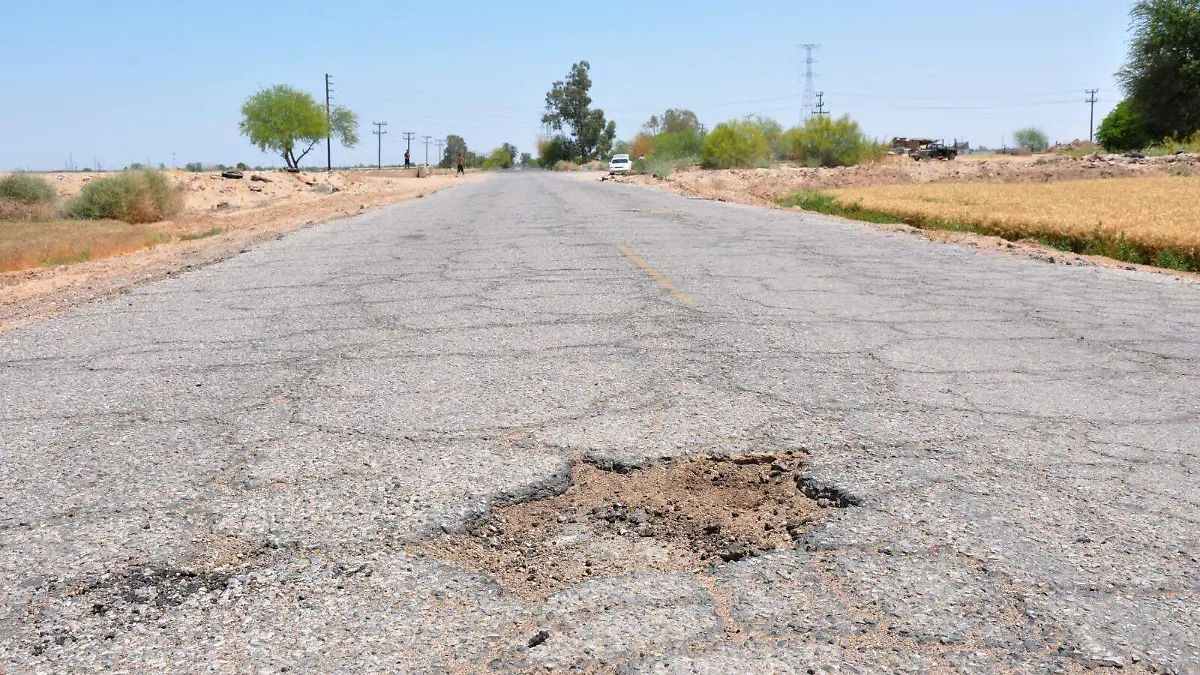 WhatsApp Image 2023-05-16 at 4.04.49 PM