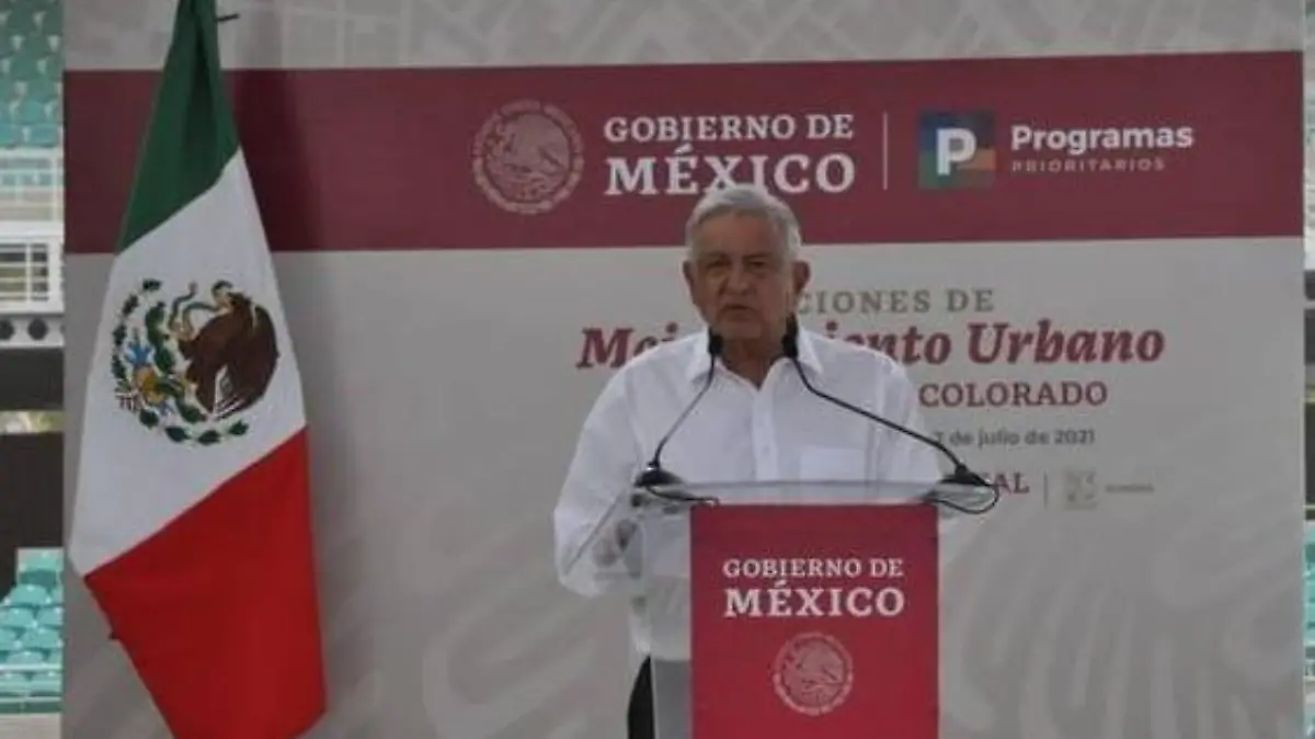amlo