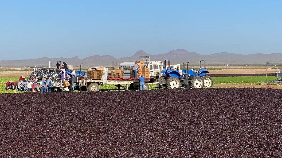 El intercambio comercial ha sido intenso entre Arizona y México