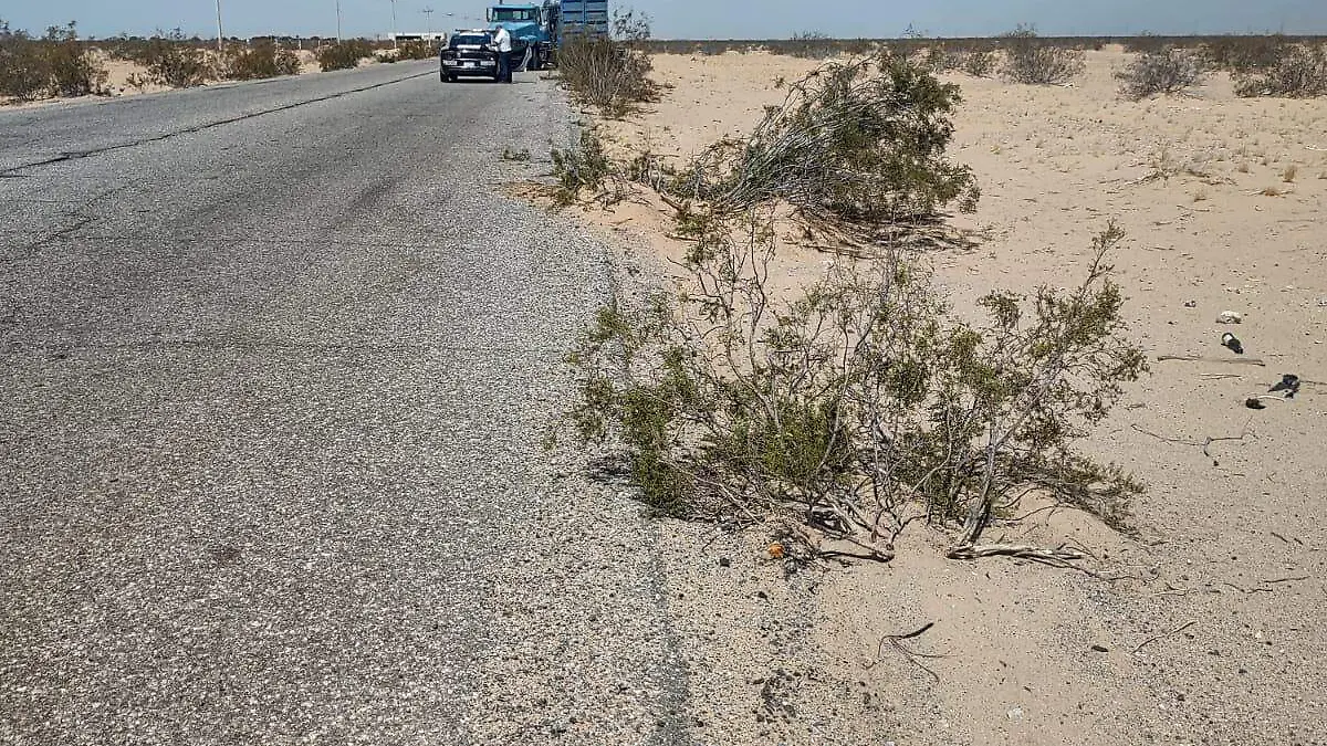 Por la carretera de cuota al Golfo de Santa Clara fue localizado esta mañana el cuerpo sin vida de un hombre por el momento no identificado que tenía los pies y manos atados