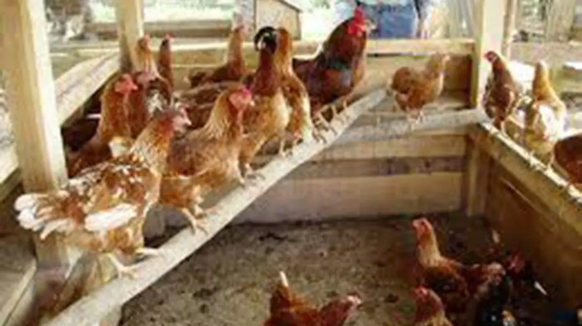 39957a2f-5f86-4bc4-9ea8-7b97b1a7559b