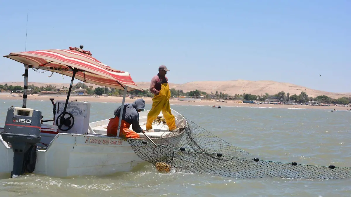 El clima es factor para no empezar la pesca de aguamala