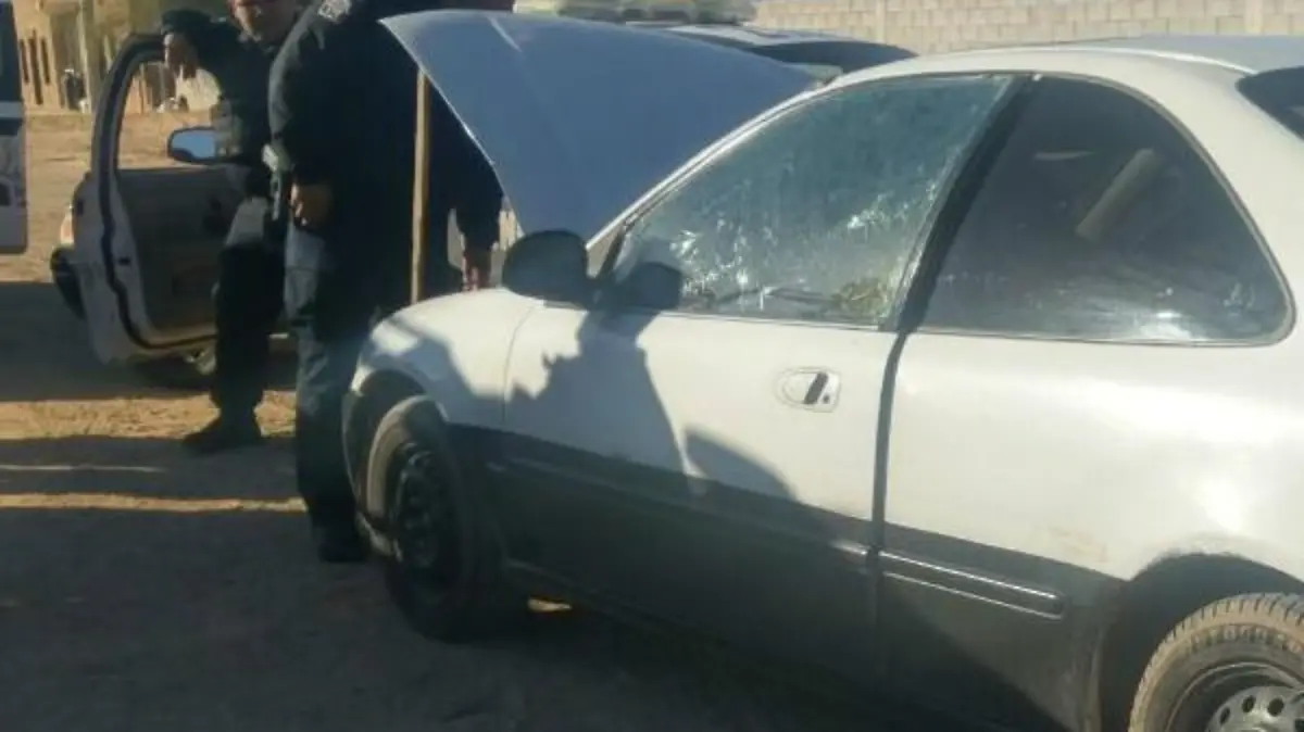 WhatsApp Image 2017-01-02 at 12.11