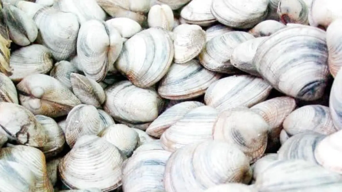 28906984_1750413145049132_715473524_n