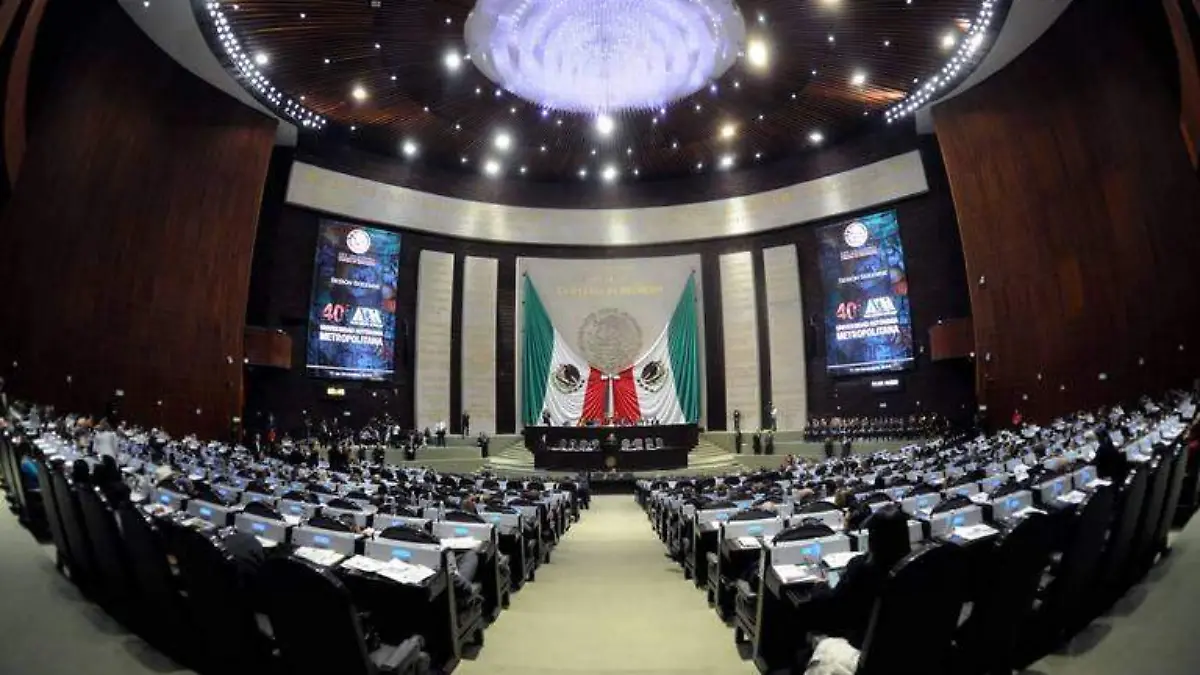 cámara de diputados.