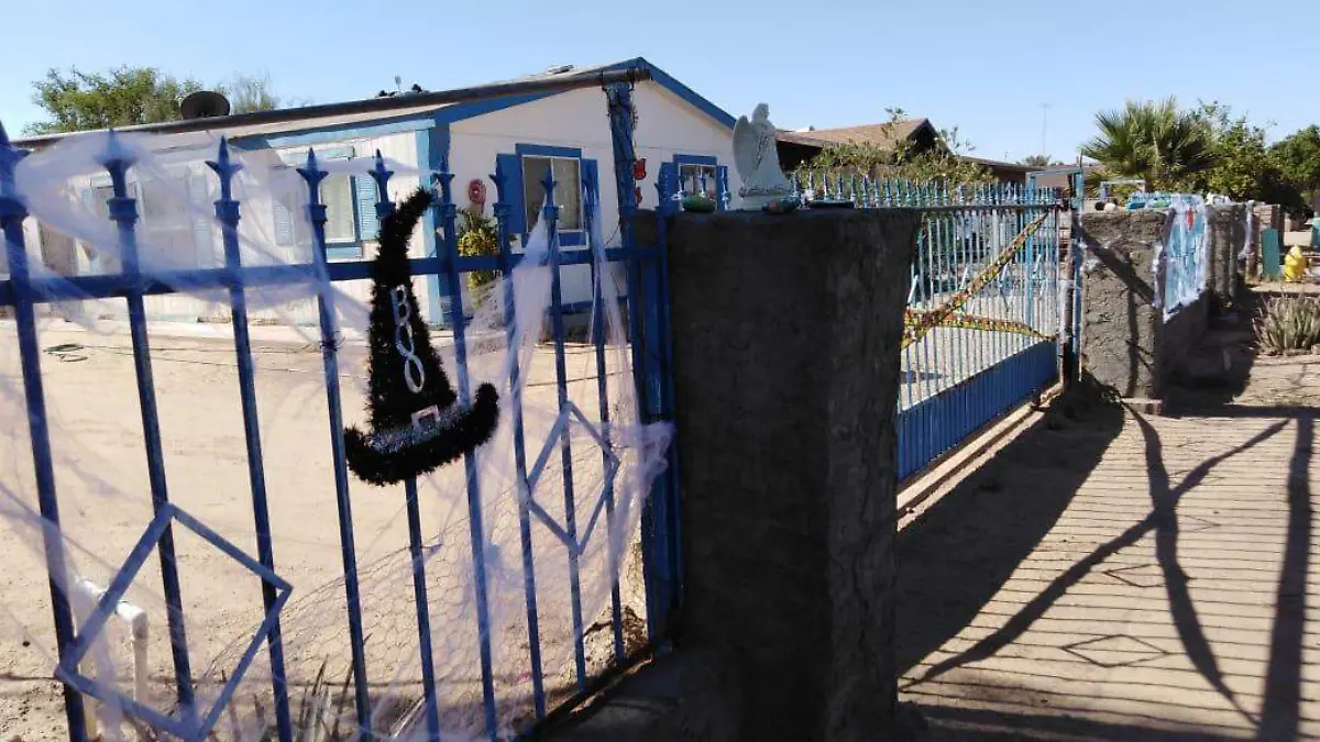 WhatsApp Image 2018-10-30 at 2.04.49 PM