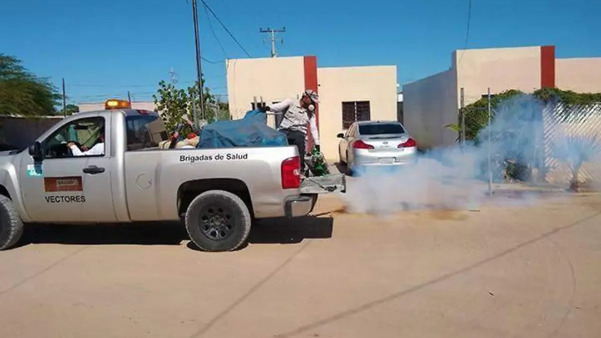 Fumigación contra mosquitos