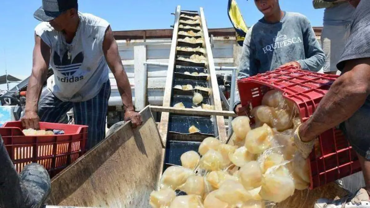 abc453f4-bf8f-4efa-a948-86681d5b1128