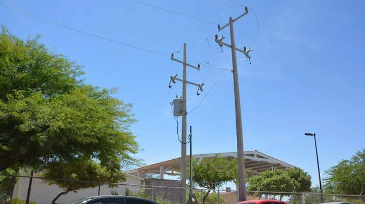 WhatsApp Image 2019-06-11 at 1.19