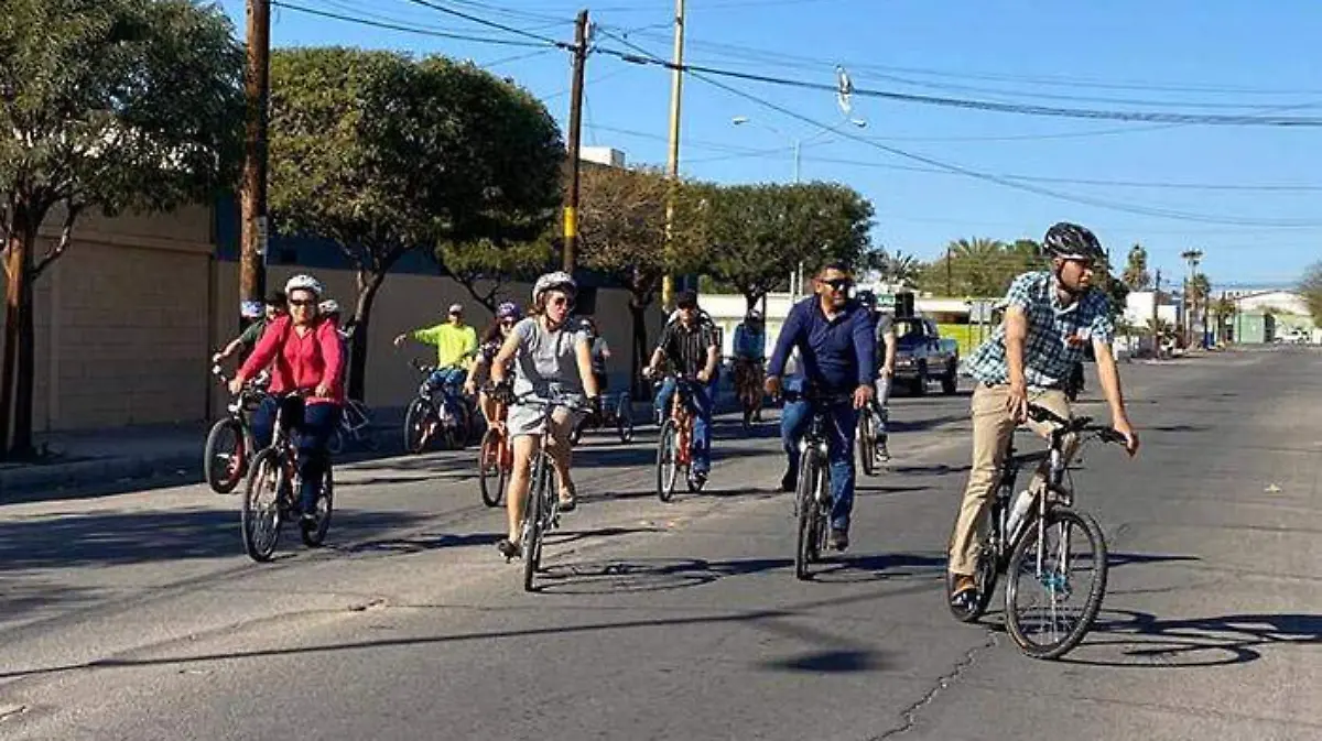 WhatsApp Image 2020-03-10 at 1.11