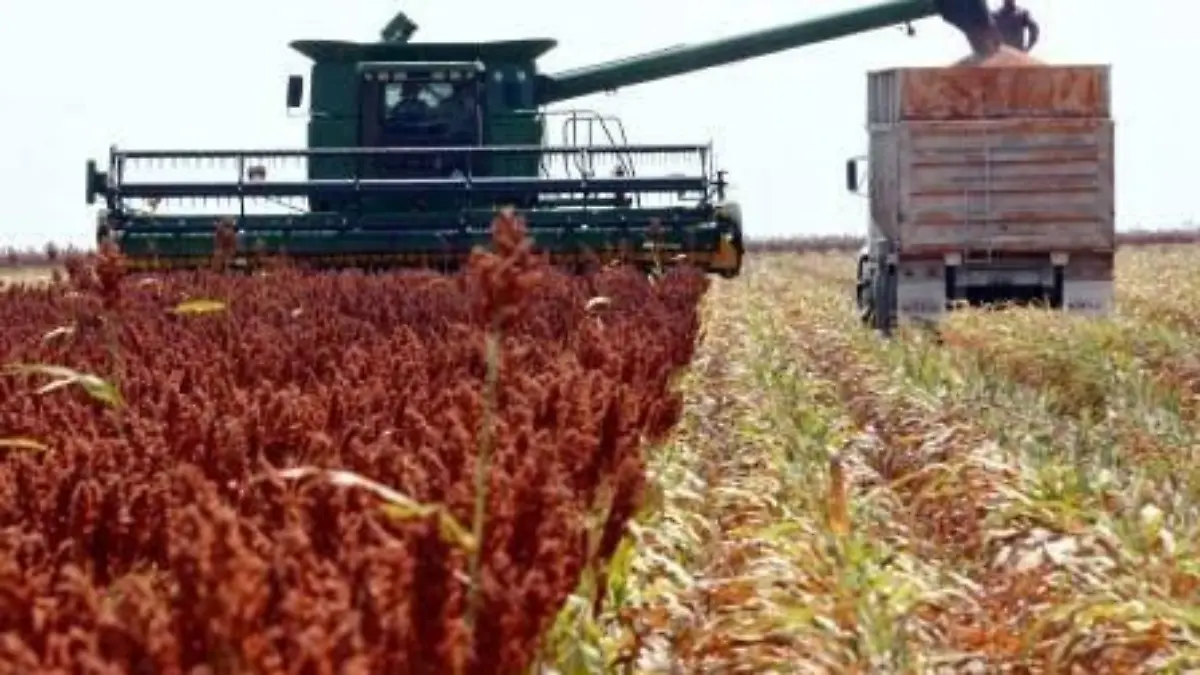 WhatsApp Image 2016-12-29 at 12.43