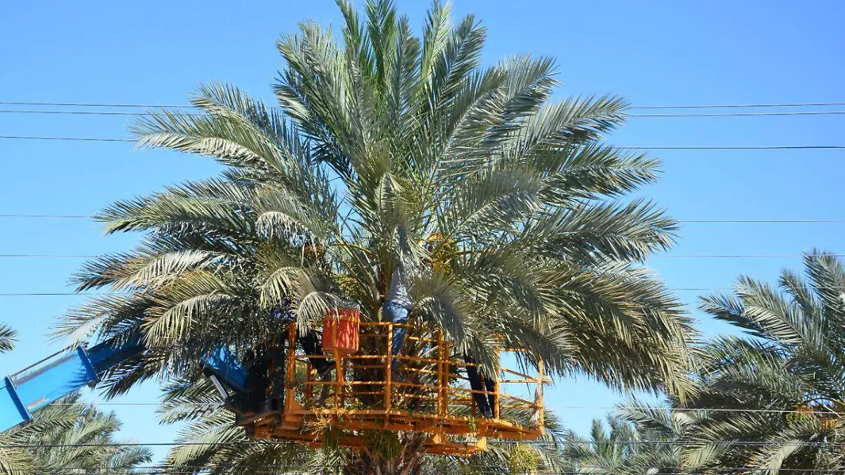 62f2bb28-eb57-49d0-aeb5-505d316a81f2