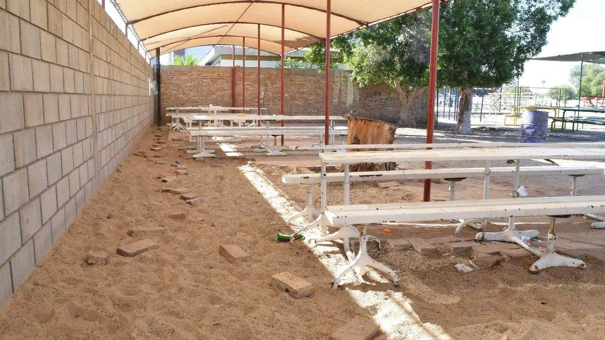 WhatsApp Image 2018-12-12 at 12.50.16 PM