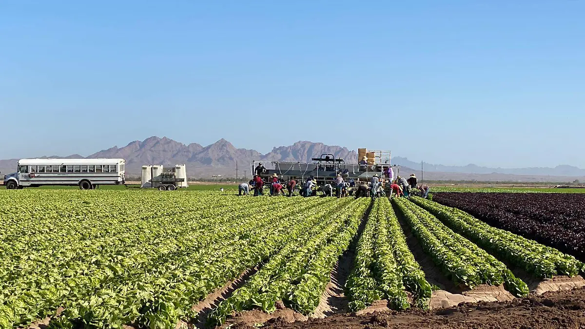 Estiman que se logren 65 mdd en remesas