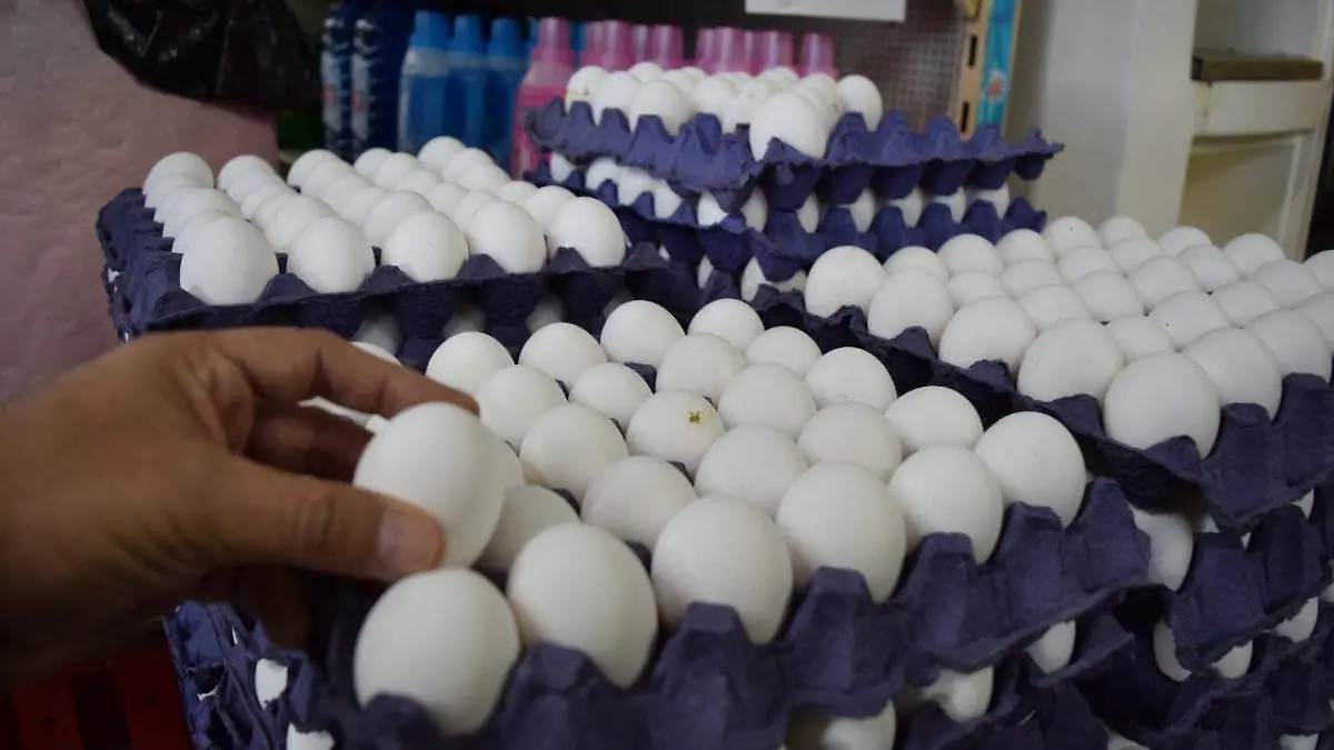 7b4904a5-0718-4973-bfe4-7ee80f32105a