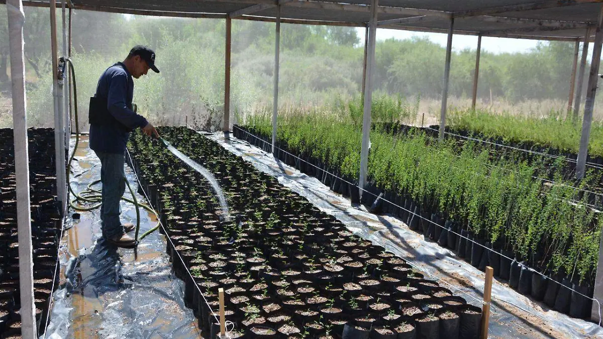 WhatsApp Image 2022-09-22 at 2.53.08 PM