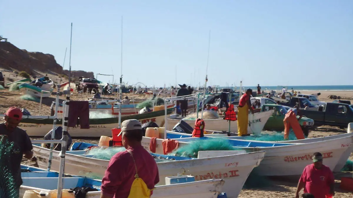 Pescadores esperan que suba el precio del camarón