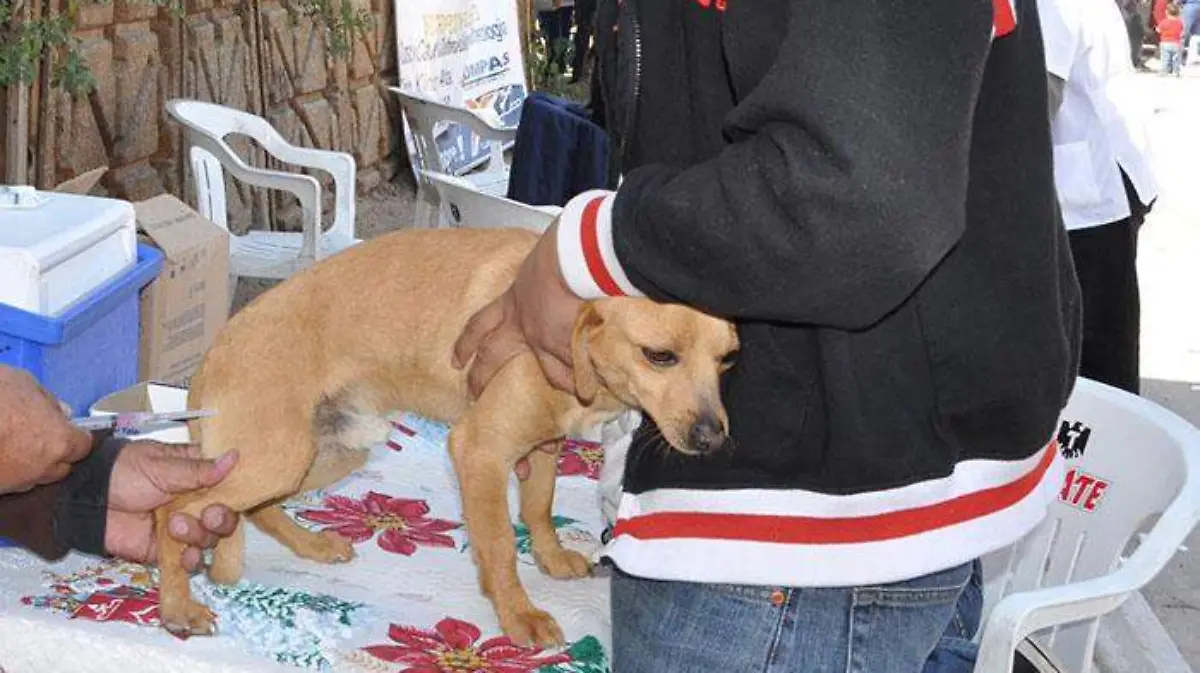 81d28270-9c34-4d02-953a-34e47dfd76b9