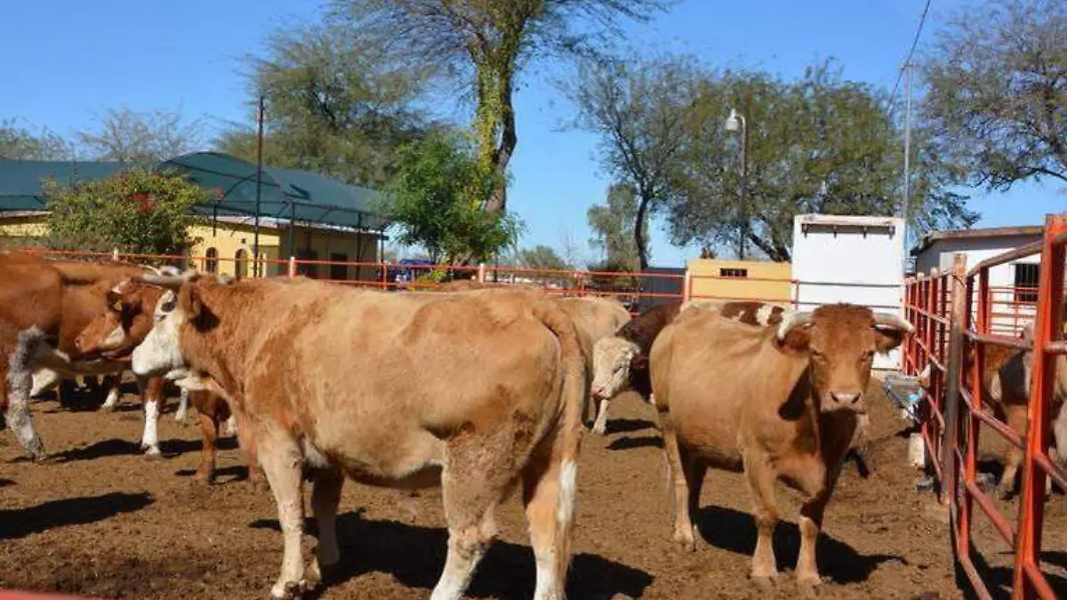 Gobierno del Estado respaldará a pequeños ganaderos