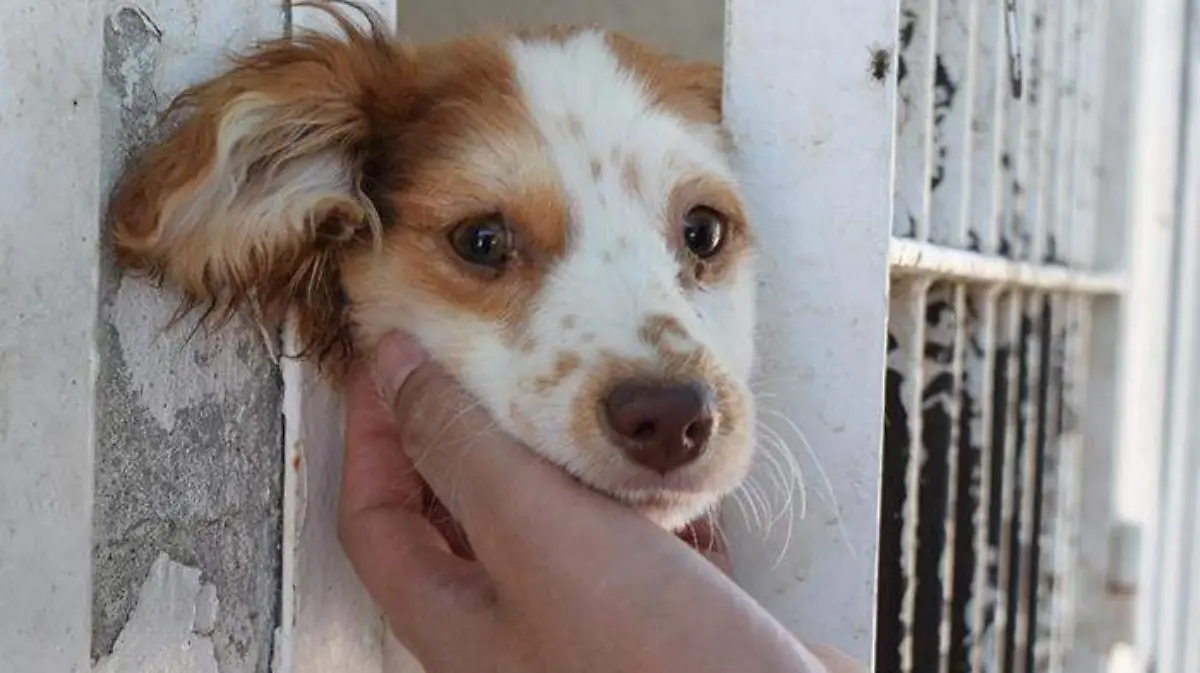 c3aef385-8bc1-4cdb-b100-56122d3b1b0b