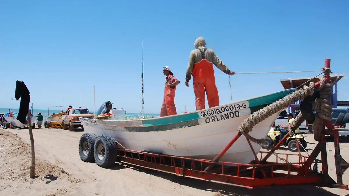 pesca2