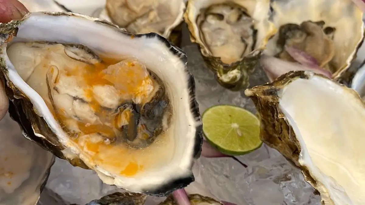 Hay almeja todo el año para comensales