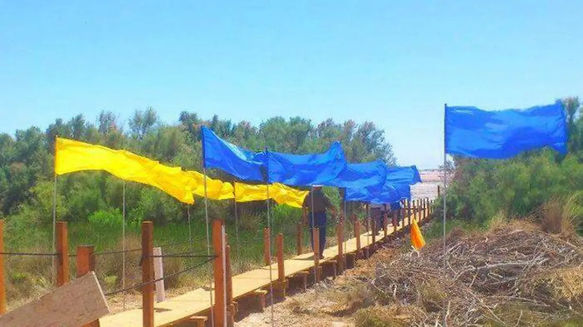 47910877-1ca6-4e73-98a0-0538ca1eafb6