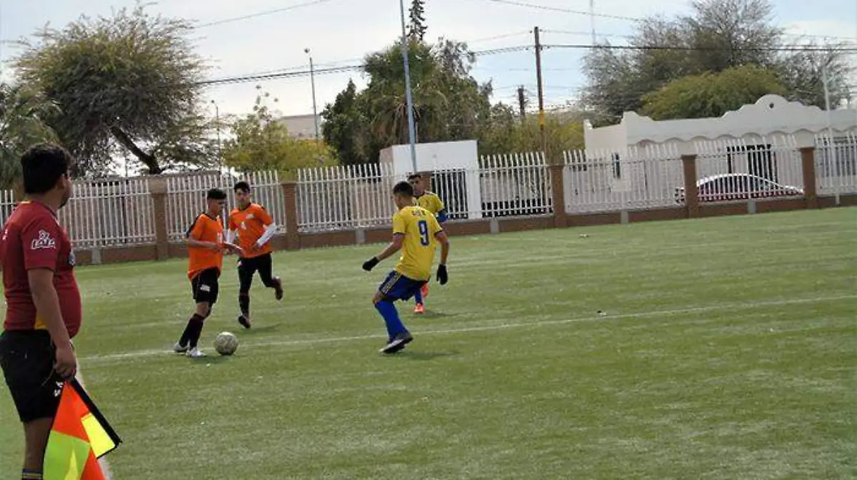 97fafcb7-482d-49f6-94fb-6d9eeb283578