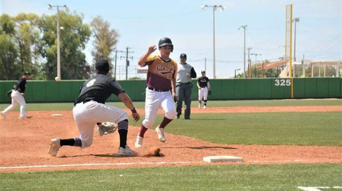 WhatsApp Image 2019-09-14 at 3.56