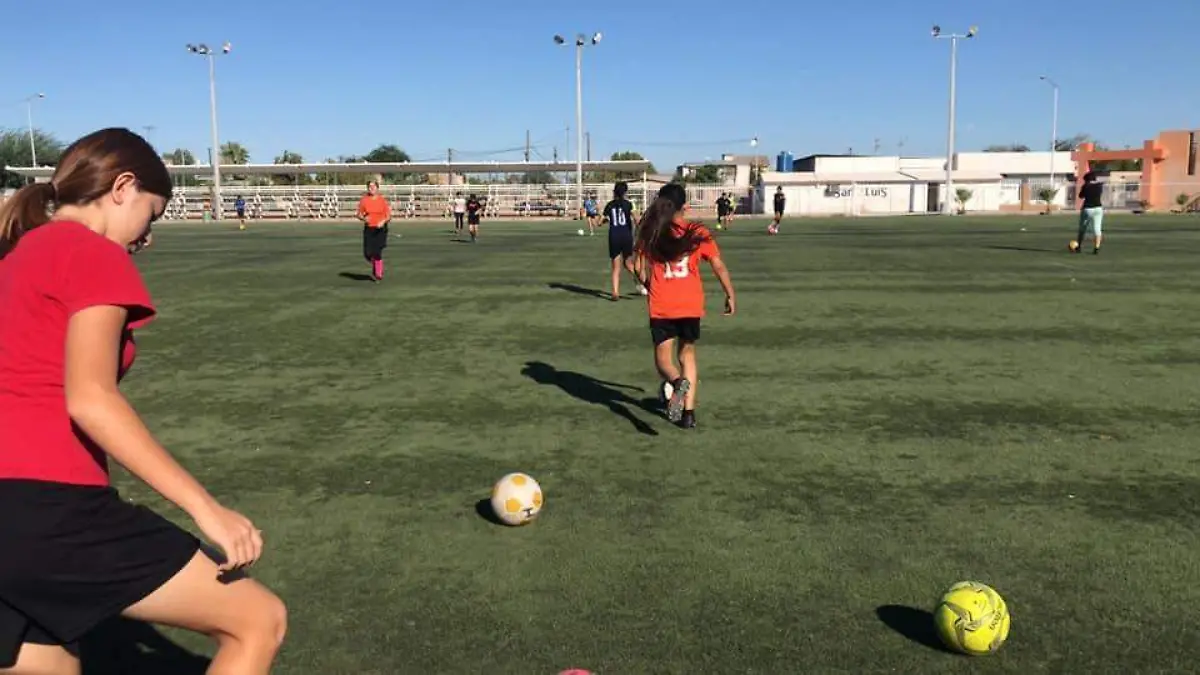 WhatsApp Image 2023-05-25 at 1.54.09 PM