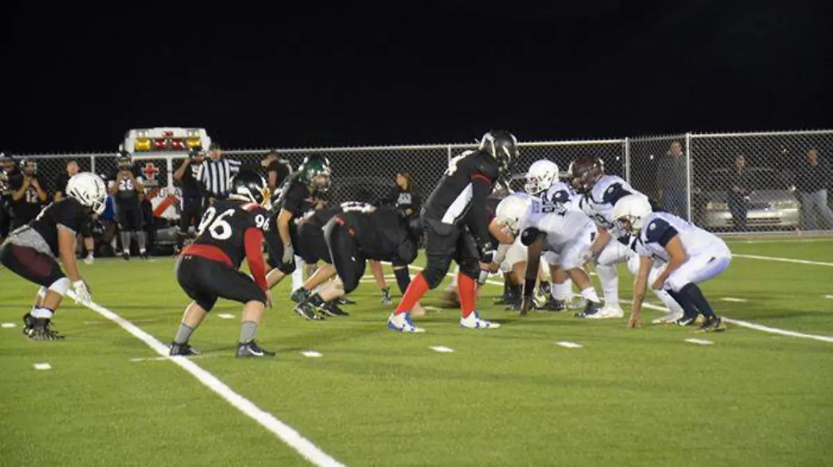 WhatsApp Image 2019-11-25 at 10.13