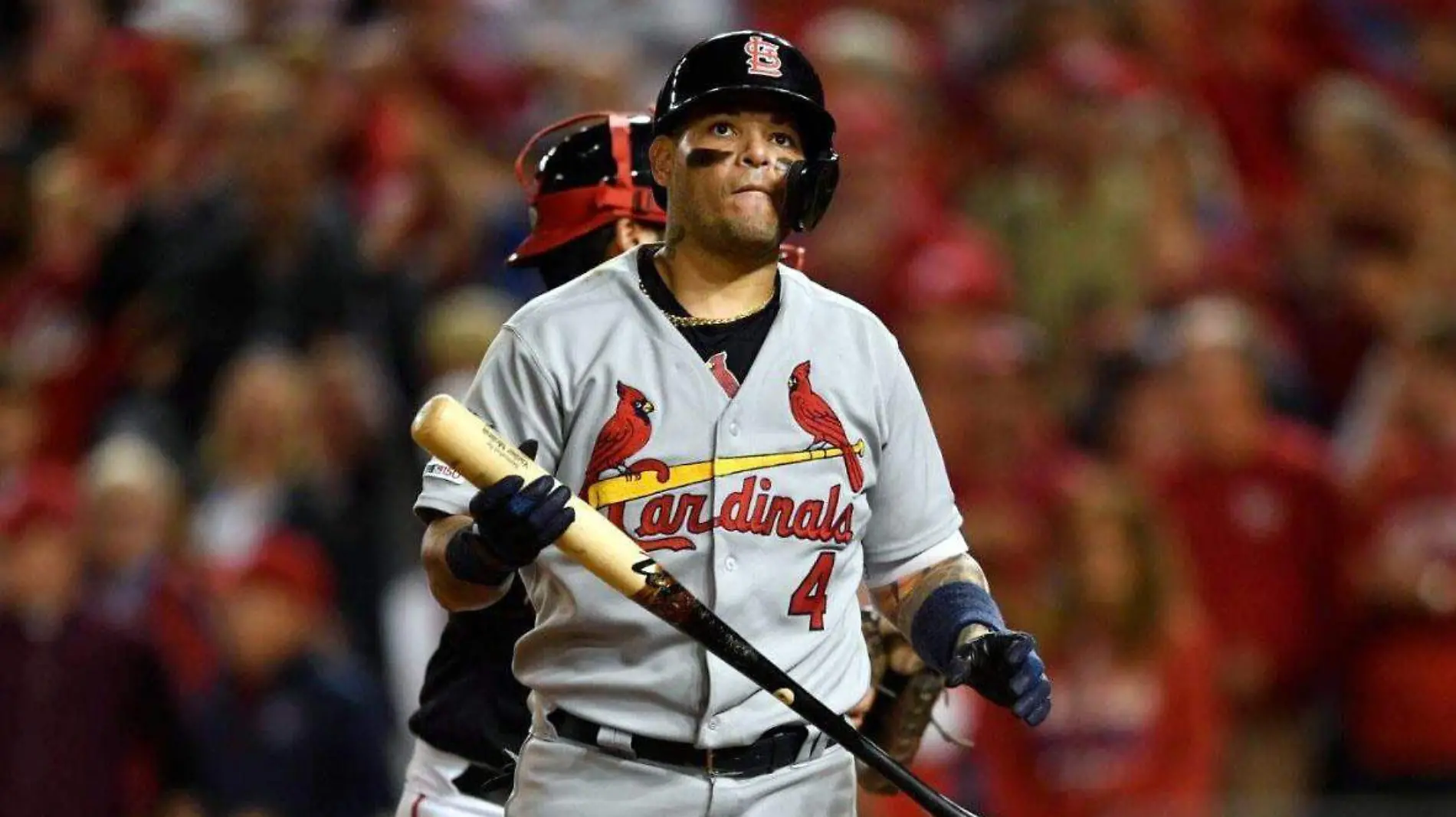 yadier-molina